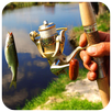 Wild Fishing Puzzle APK