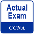 CCNA Actual Exam