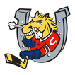 ”Barrie Colts