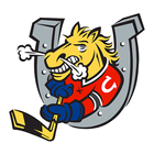 Barrie Colts icône