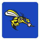 Sugar Land Skeeters APK