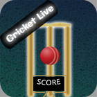 Cricket Score,News for T20 ikona