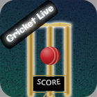 Cricket Score,News for T20 圖標