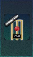Cricket Score,News for T20 plakat