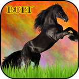 Bolt - The Black Horse