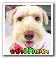 แต่งรูปภาพข้อความสวยน่ารัก Screenshot 1
