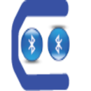 Bluetooth Chat APK