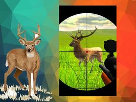 animal shooting games Affiche