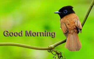 Good morning Gif & cards скриншот 3