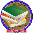 Budidaya Menanam Cabe icon