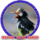 Jalak Suren MP3 APK