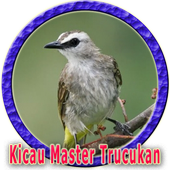 Kicau Burung Trucuk Master Mp3 Pour Android Telechargez L Apk
