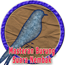 Masteran Burung Suara Nembak MP3 APK