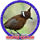 Master Cililin Ngerol Panjang APK