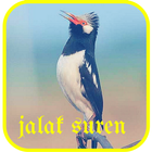 Jalak Suren Audio icon