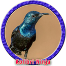 Kolibri Ninja Ngobra MP3 APK