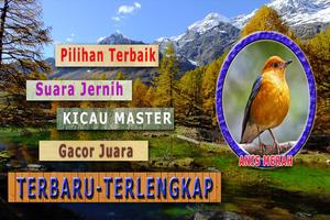 Master Anis Merah MP3 captura de pantalla 2