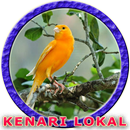 Master Kenari Lokal APK