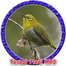 Terapi Pleci Macet Bunyi MP3 APK