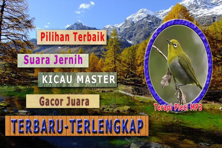 Terapi Pleci Macet Bunyi Mp3 For Android Apk Download