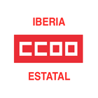 ccoo estatal iberia иконка