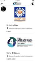 4 Foro Los Cabos - Mejora Affiche