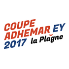 Coupe Adhémar EY 2017 icône