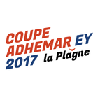 Icona Coupe Adhémar EY 2017