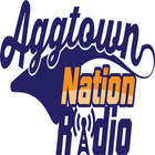 AggTown Nation icône