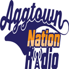 AggTown Nation आइकन