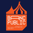 Banc Public icon