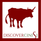 ikon Discover Cinisi