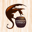 Dragon Spirits Marketing