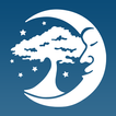 Dreaming Tree icon
