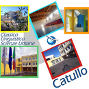 Liceo Gaio Valerio Catullo APK