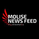 Molise News Feed иконка