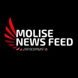 Molise News Feed icône
