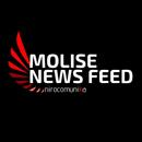 Molise News Feed APK