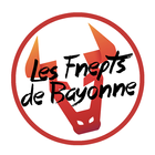 Les Fnepts de Bayonne icon