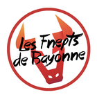 ikon Les Fnepts de Bayonne