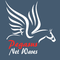 Pegasus Net waves
