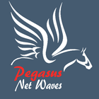 Pegasus Net waves icon