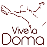 ViveLaDoma.com icône