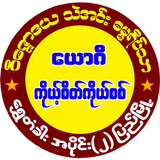 Vizawdaya (Theinn) icône
