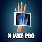 X way pro 图标