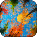 Autumn Live Wallpaper (backgrounds & themes) APK