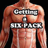 six pack daily workout program