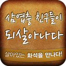 태백 고생대 자연사 박물관 APK