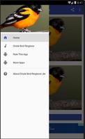 Oriole Bird Ringtone Lite تصوير الشاشة 1