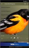 Oriole Bird Ringtone Lite captura de pantalla 2